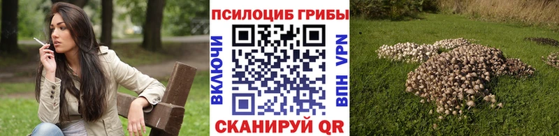 Купить  Наволоки  Псилоцибиновые грибы Magic Shrooms 