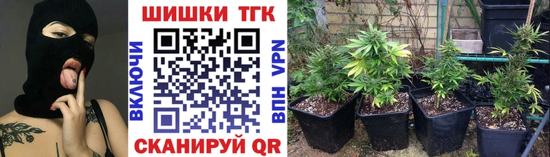 Шишки марихуана Amnesia  Купить закладки  Наволоки 
